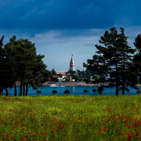 Belvedere Holidays Villas Novigrad Istria Dış mekan fotoğraf